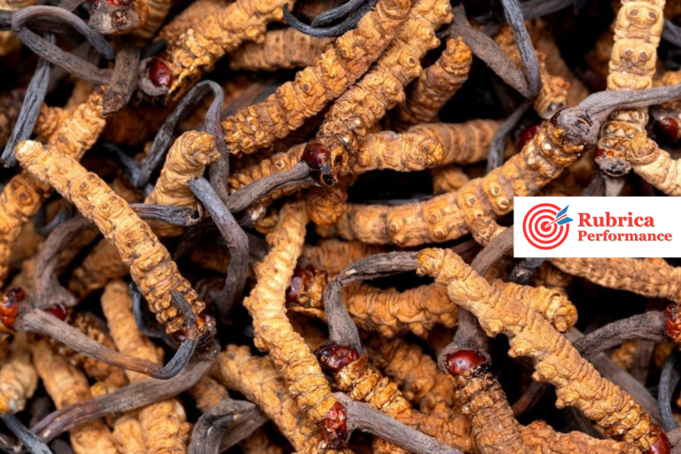 Cordyceps Sinensis: un fungo peculiare che supporta energia, resistenza e immunità - per persone mature (soprattutto se fuori forma!) cordyceps sinensis