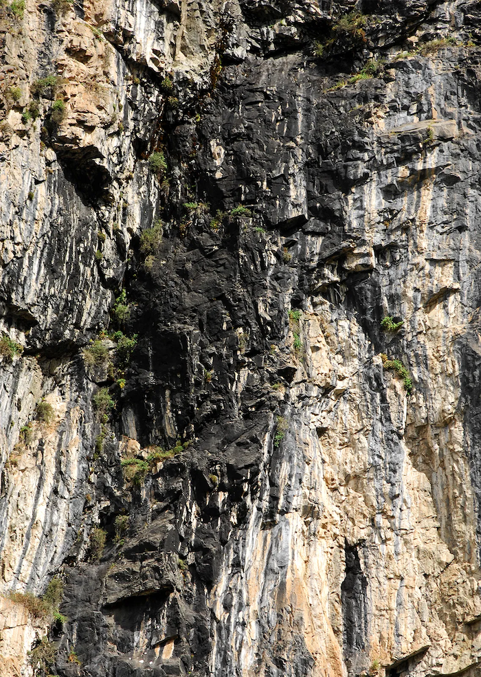 shilajit montagne